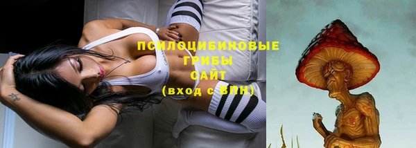 молекула духа Инсар