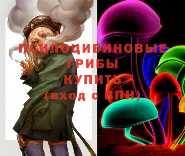 2c-b Верхнеуральск