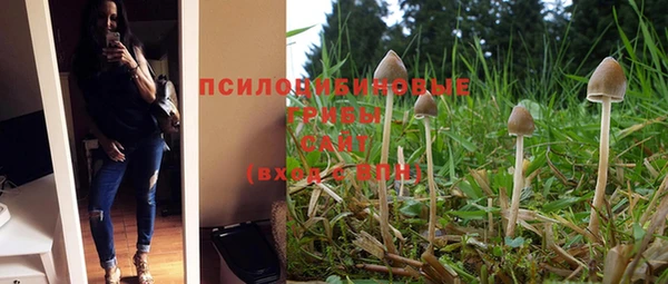меф Бородино