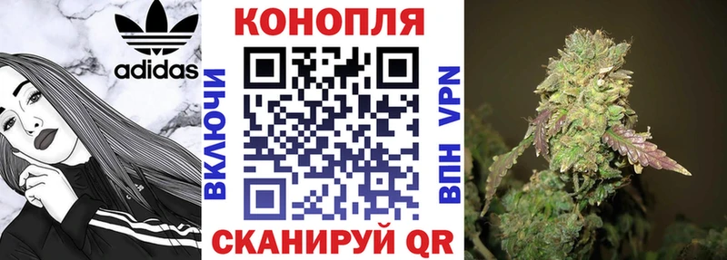 Канабис OG Kush  Вяземский 